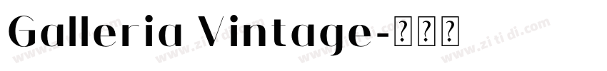 Galleria Vintage字体转换